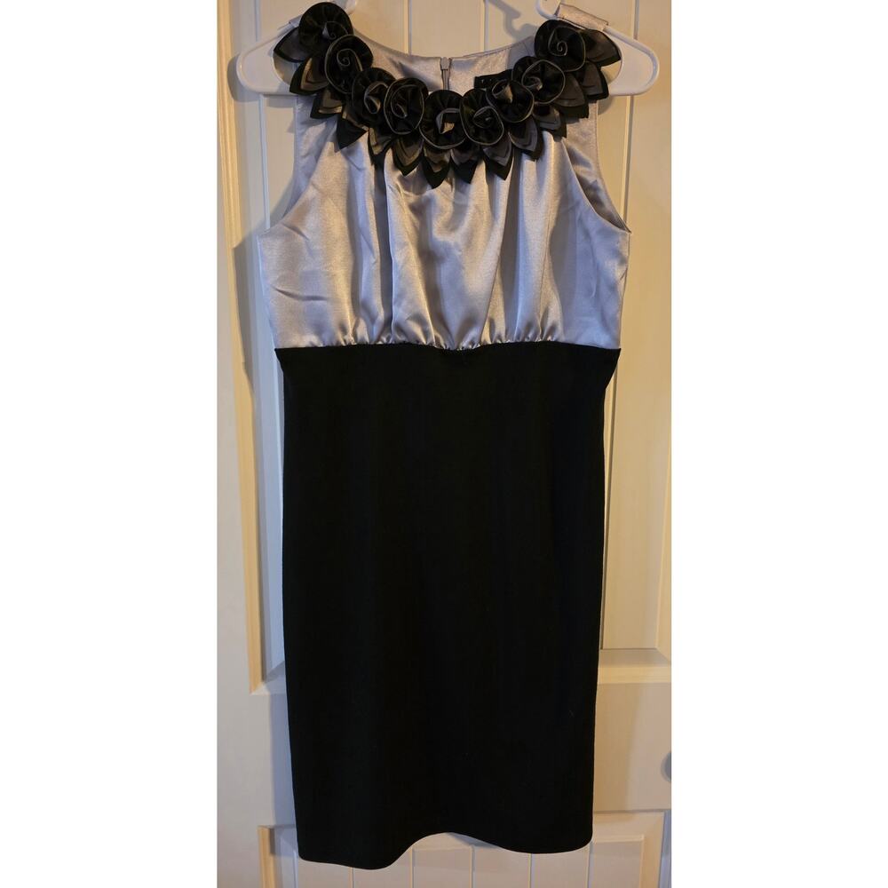 Tianna B Beautiful and Unique Sleeveless Dress with Rosettes size 4